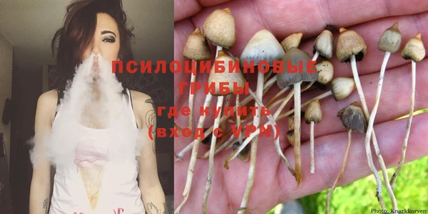 прущие крисы Алзамай