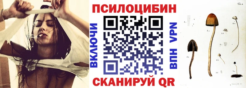 где можно купить наркотик  Слюдянка  Псилоцибиновые грибы мухоморы 