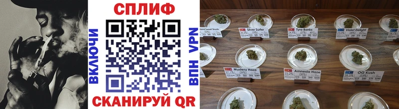 omg tor  Слюдянка  даркнет какой сайт  Марихуана OG Kush 